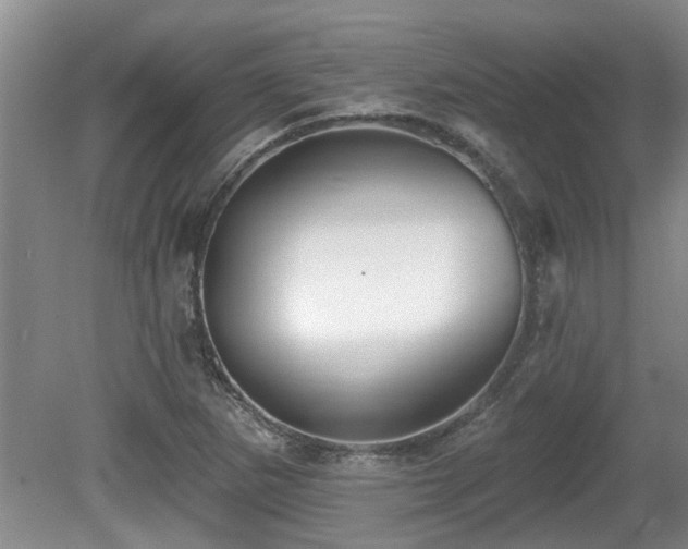X0000080691265200612151239