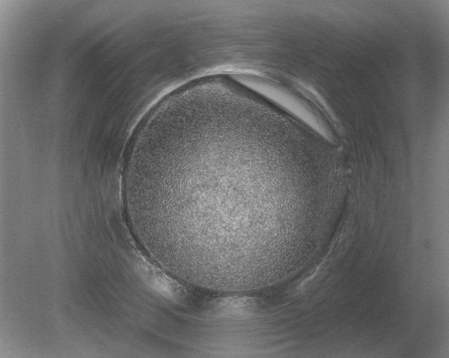 X0000080691268200612151239