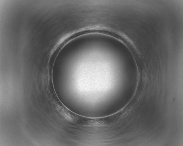 X0000080691270200612151239