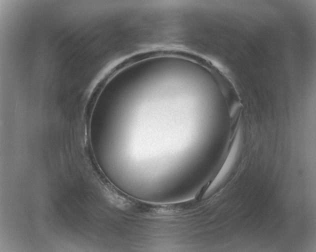 X0000080691271200612151239