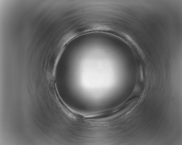 X0000080691281200612151239