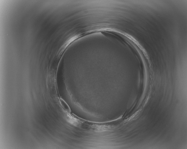X0000080691289200612151239