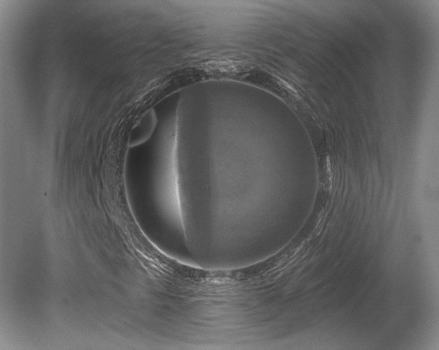 X0000080691297200612151238