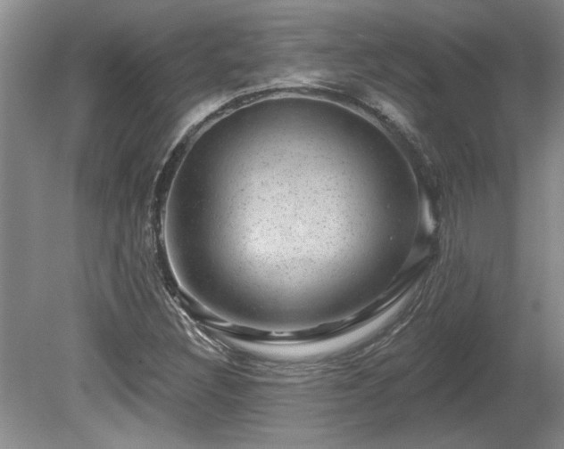 X0000080691308200612151238