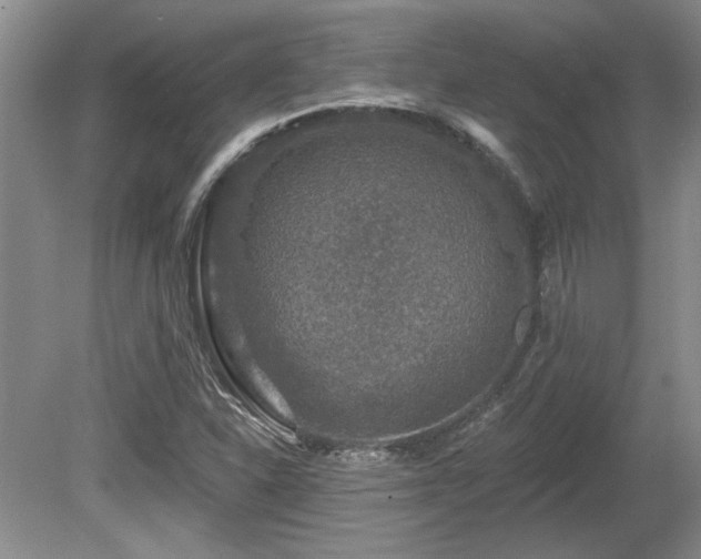 X0000080691310200612151238
