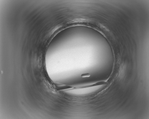 X0000080691313200612151238