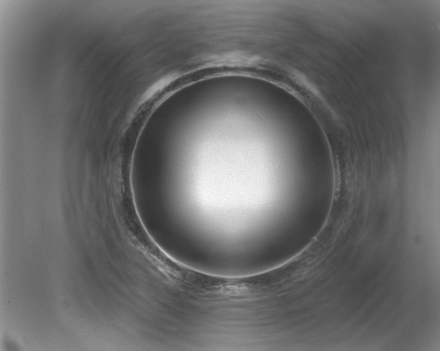 X0000080691315200612151238