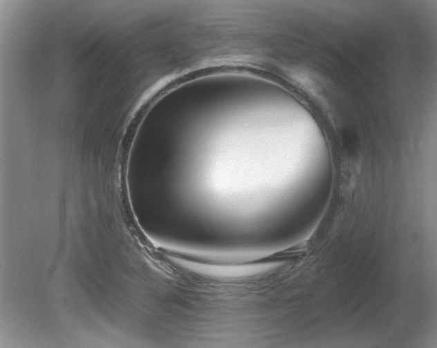 X0000080691316200612151238