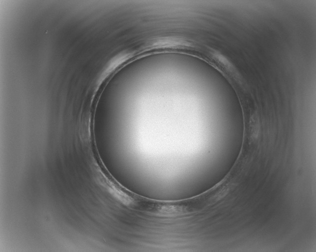 X0000080691322200612151239