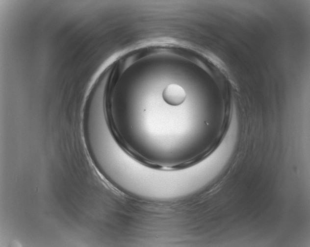 X0000080691326200612151239