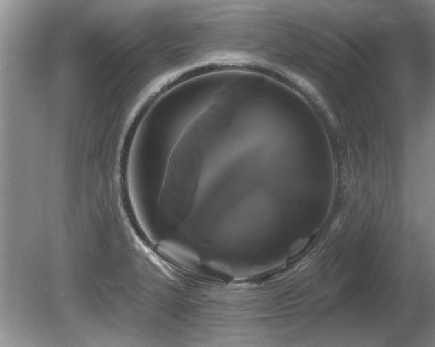 X0000080691327200612151239