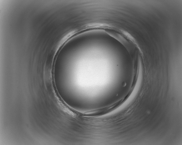 X0000080691330200612151239