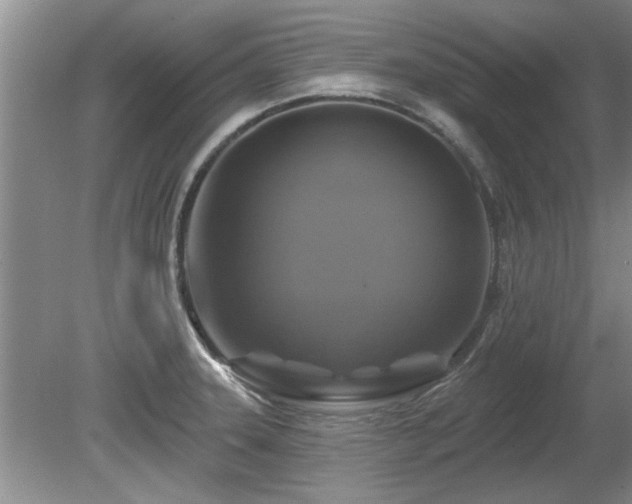 X0000080691331200612151239