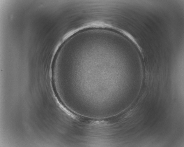 X0000080691335200612151239