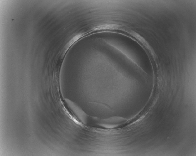 X0000080691337200612151239