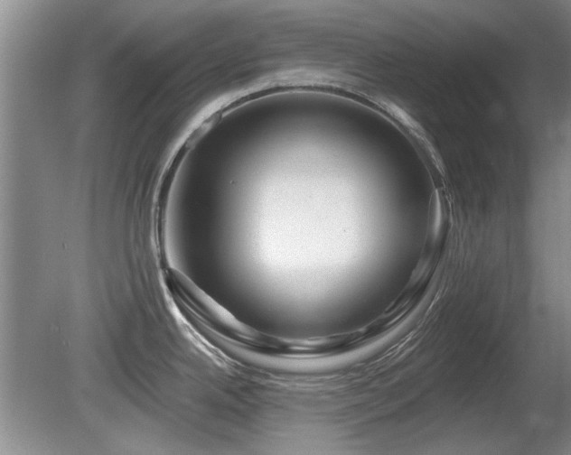 X0000080691342200612151239