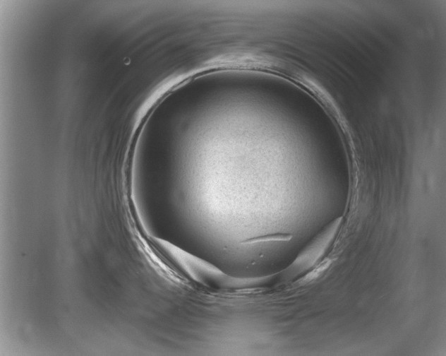 X0000080691344200612151239
