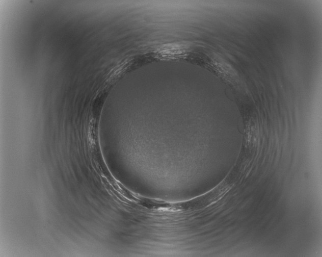 X0000080691346200612151238