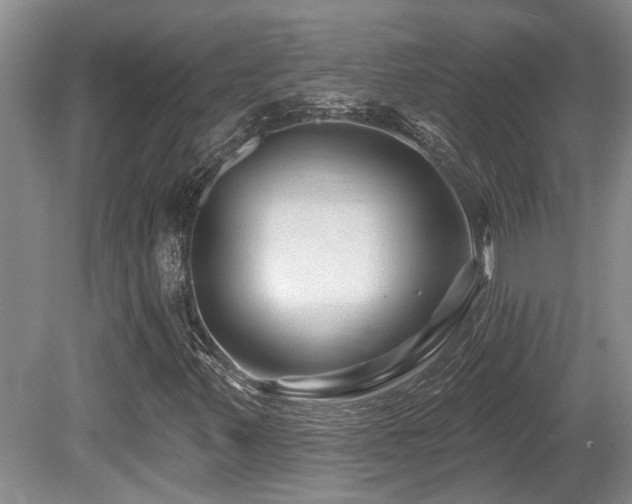 X0000080691347200612151238