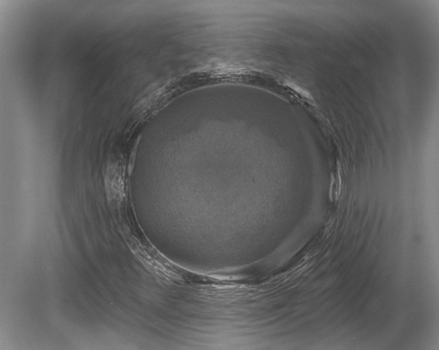 X0000080691348200612151238