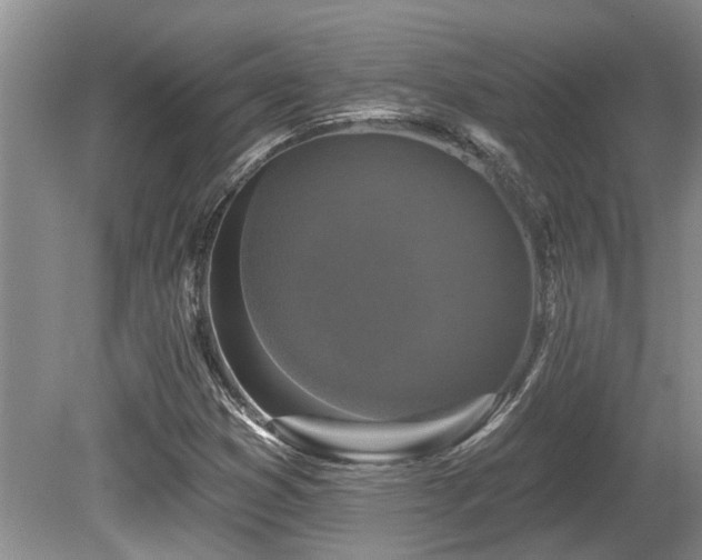 X0000080691353200612151238