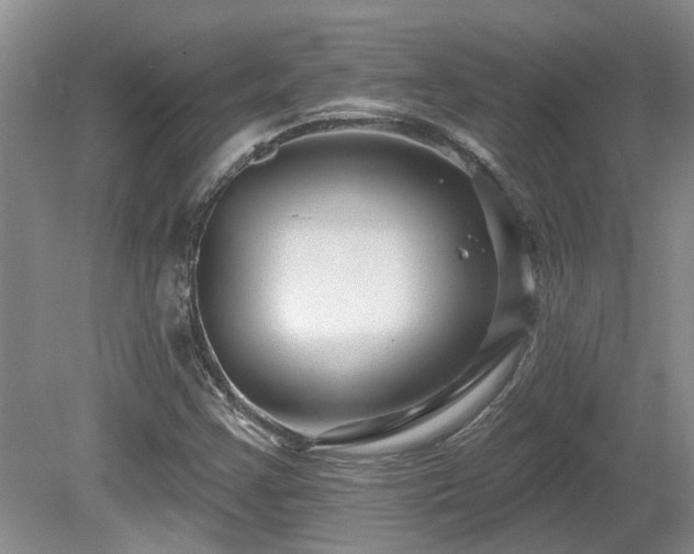 X0000080691355200612151238
