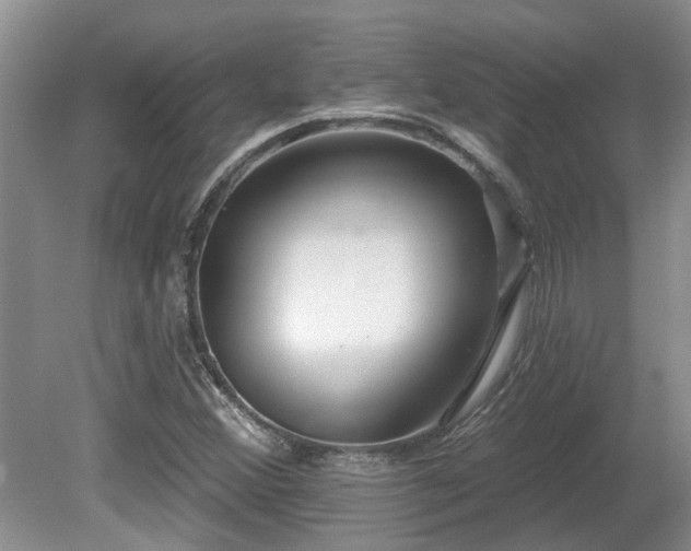 X0000080691356200612151238