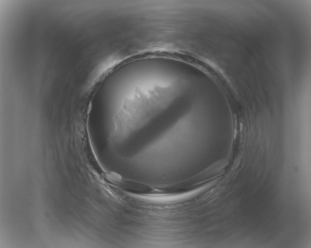 X0000080691359200612151238