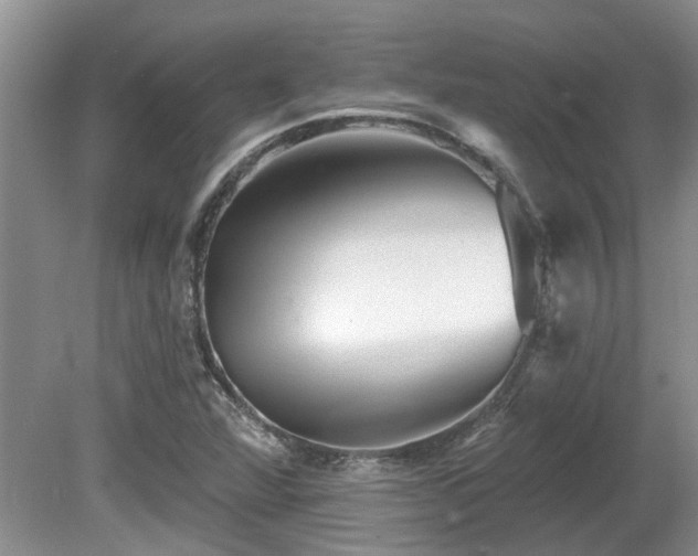 X0000080691360200612151238
