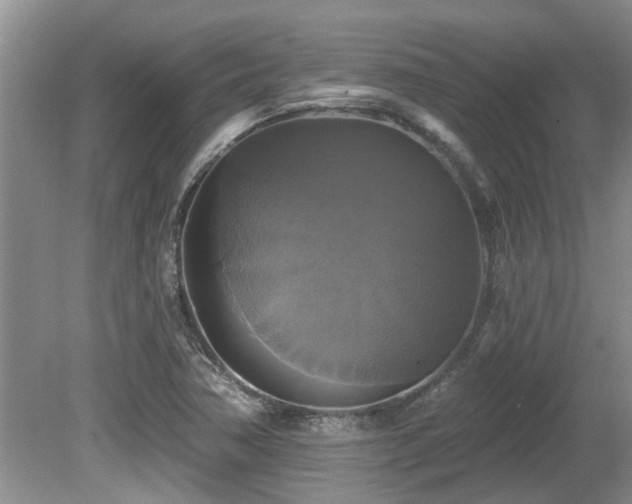 X0000080691362200612151238