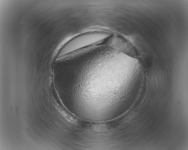 X0000080691363200612151238