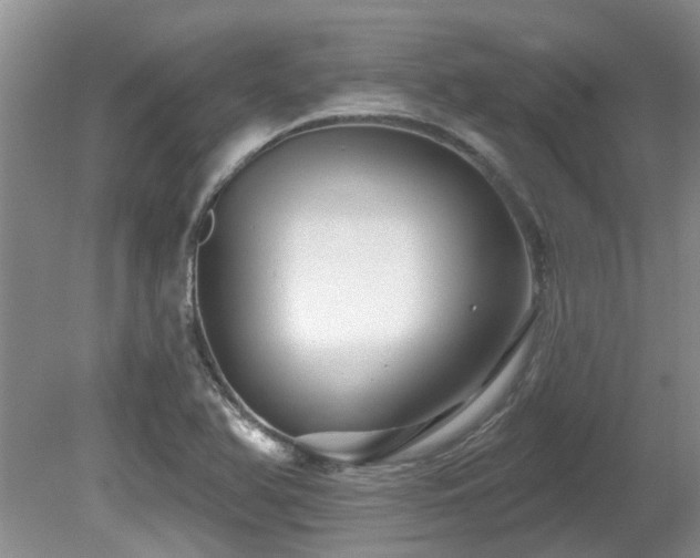 X0000080691366200612151238