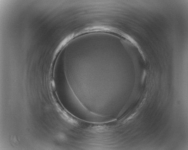 X0000080691373200612151238