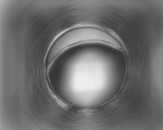X0000080691380200612151238