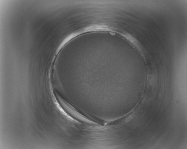 X0000080691382200612151237