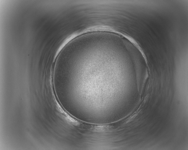 X0000080691390200612151237