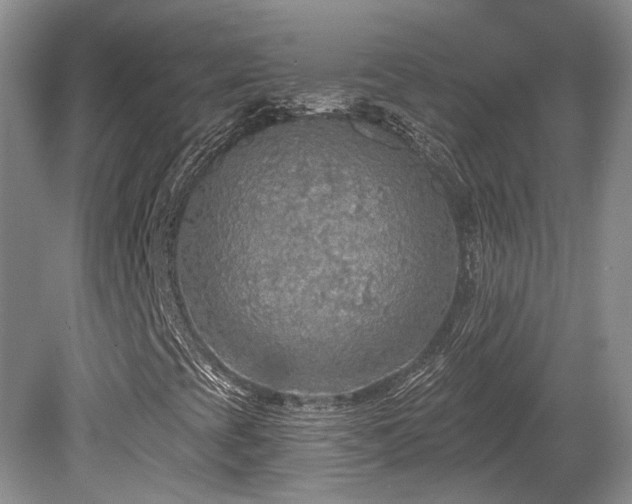 X0000080691393200612151236