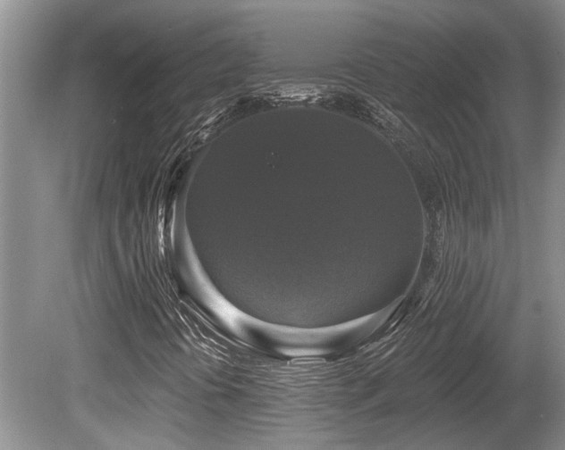 X0000080691394200612151237