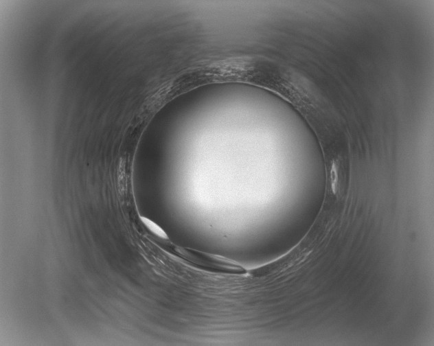 X0000080691395200612151237