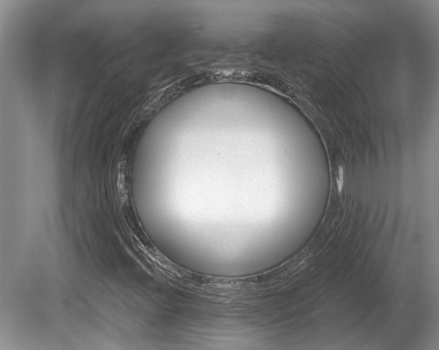 X0000080691396200612151237