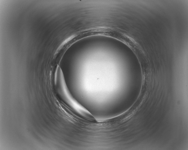 X0000080691402200612151237