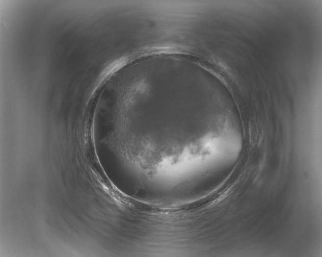 X0000080691405200612151237