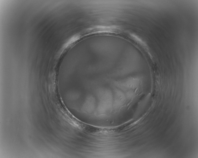 X0000080691411200612151237