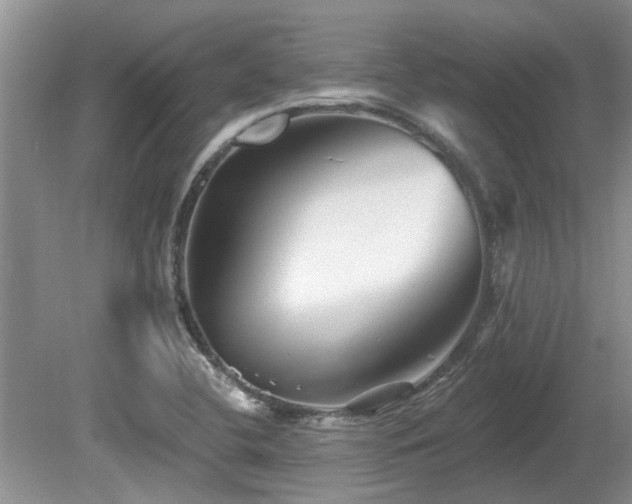 X0000080691412200612151237