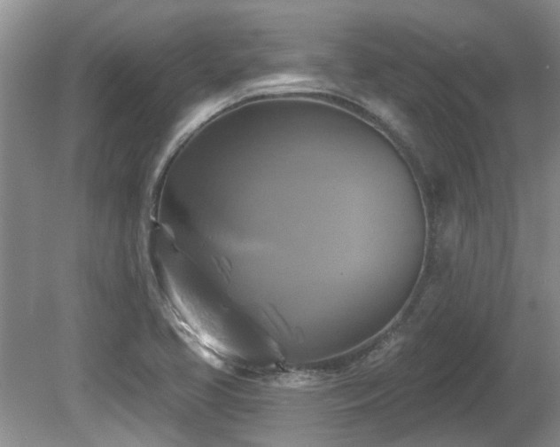 X0000080691413200612151237