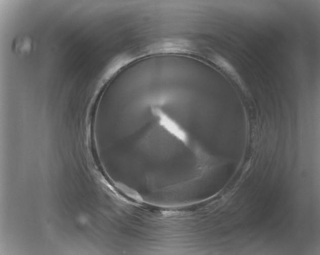 X0000080691419200612151237