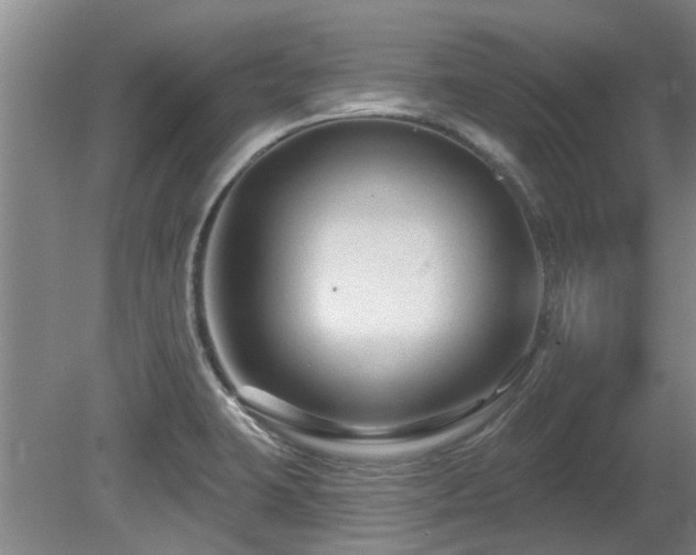 X0000080691423200612151237