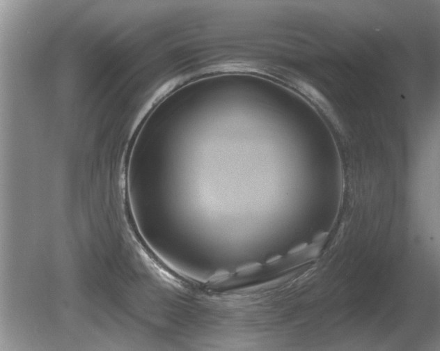 X0000080691428200612151237