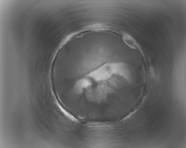 X0000080691429200612151237