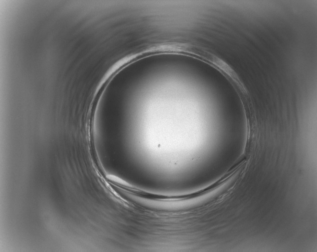 X0000080691436200612151237